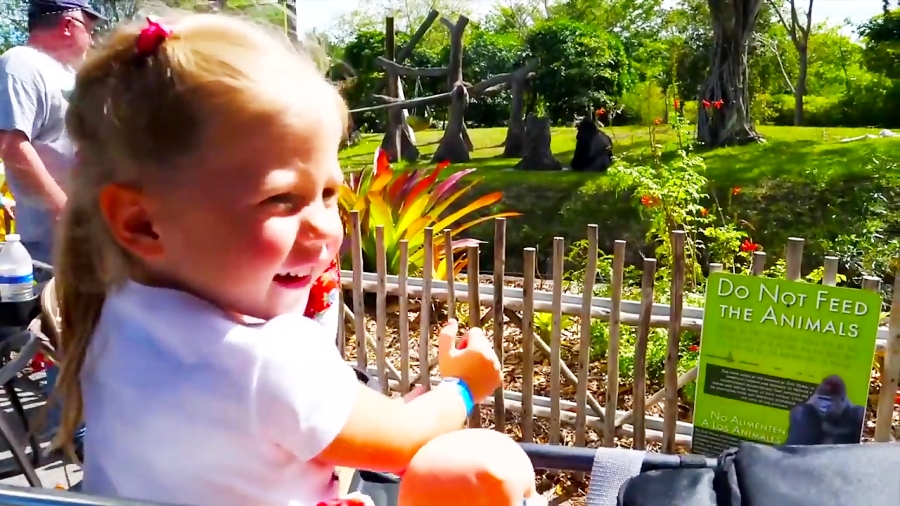 ماجراهای ناستیا و بابایی - قسمت 58